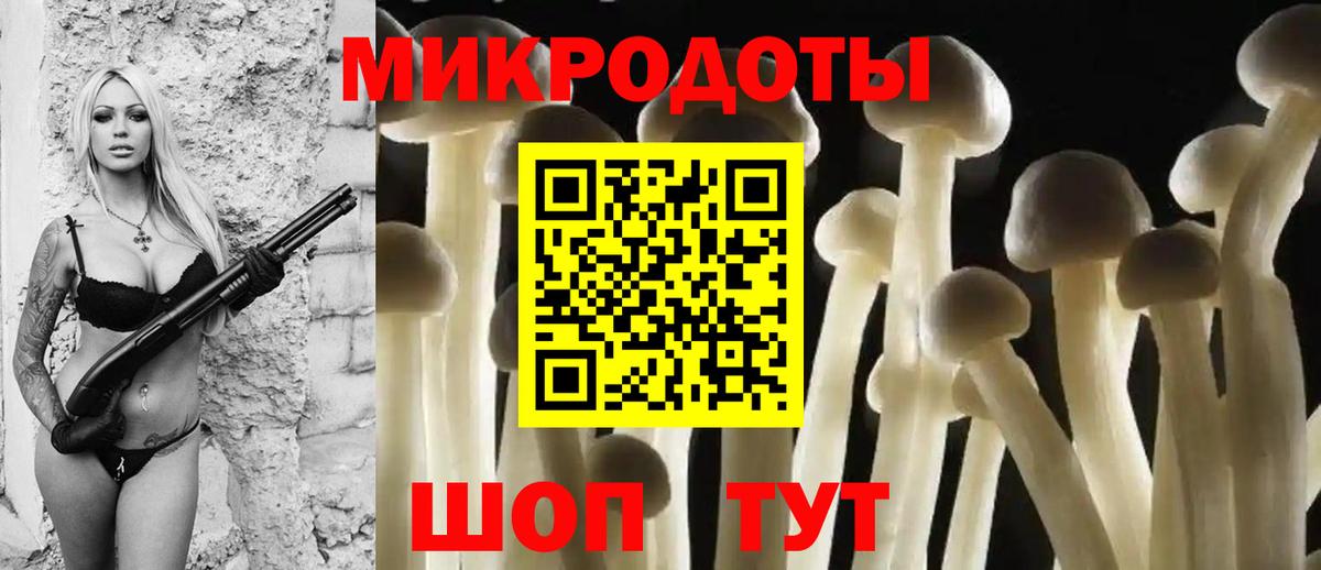 Анжеро-Судженск  Галлюциногенные грибы прущие грибы  Вход с VPN 